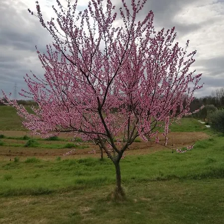 Podere Bianca Maria