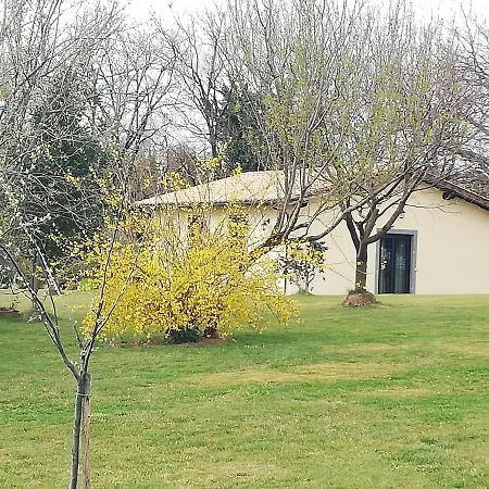 Farm stay Podere Bianca Maria Nepi