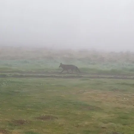 Podere Bianca Maria Farmház